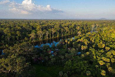 光荣《怪物农场1&2 DX》新要素 12月9日发售在即